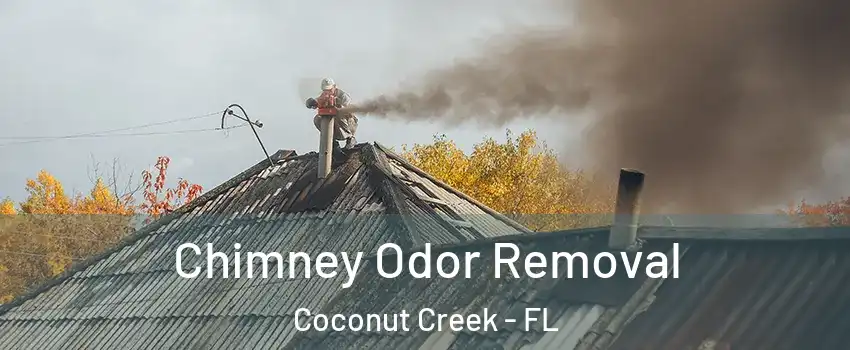  Chimney Odor Removal Coconut Creek - FL