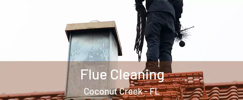  Flue Cleaning Coconut Creek - FL